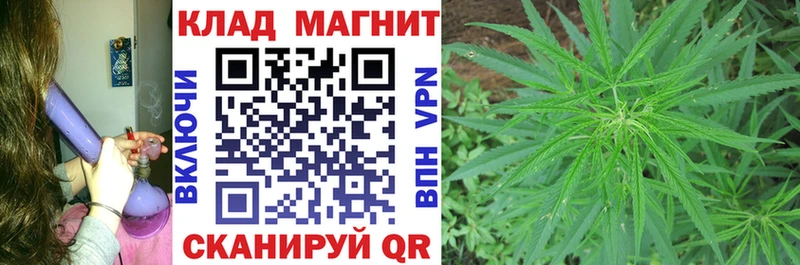 МЕФ Кимры