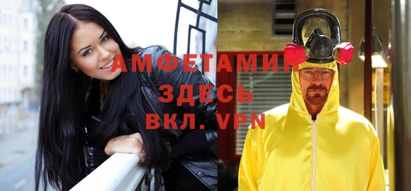 мет Алексин