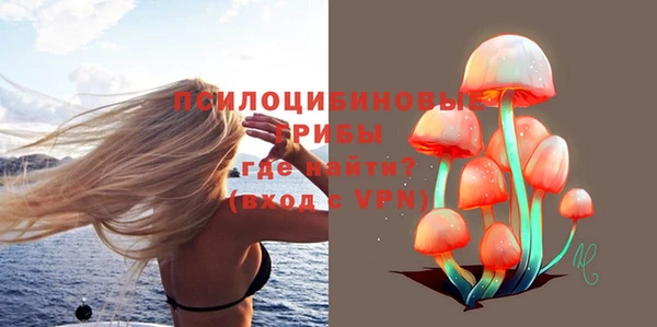 а пвп мука Алзамай