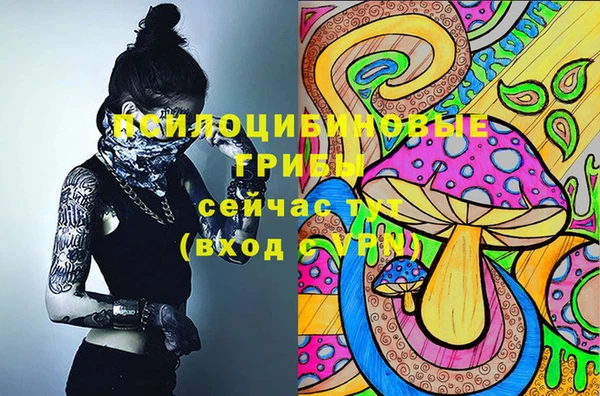 мет Алексин