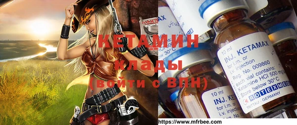 мет Алексин