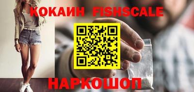 мет Кингисепп