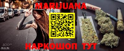 мет Кингисепп