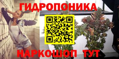 винт Кимры