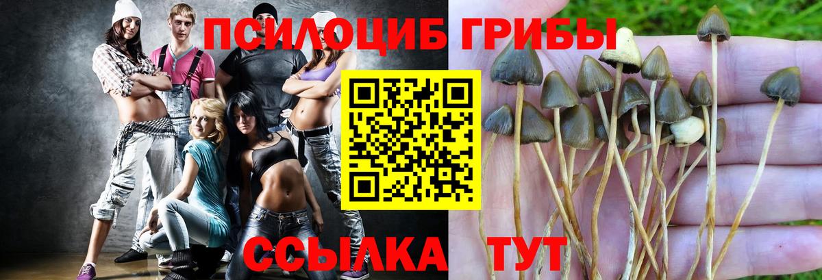 Псилоцибиновые грибы MAGIC MUSHROOMS  Псилоцибиновые грибы прущие грибы  Вход с VPN  Кимры 